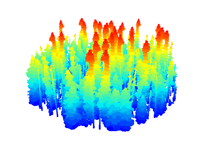 Dynamic Image